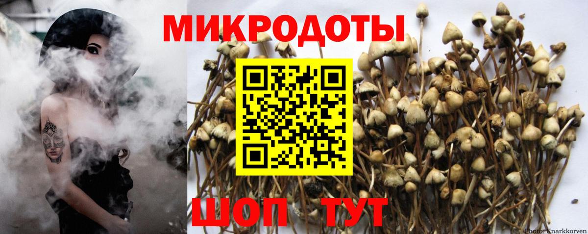 Псилоцибиновые грибы мицелий Партизанск